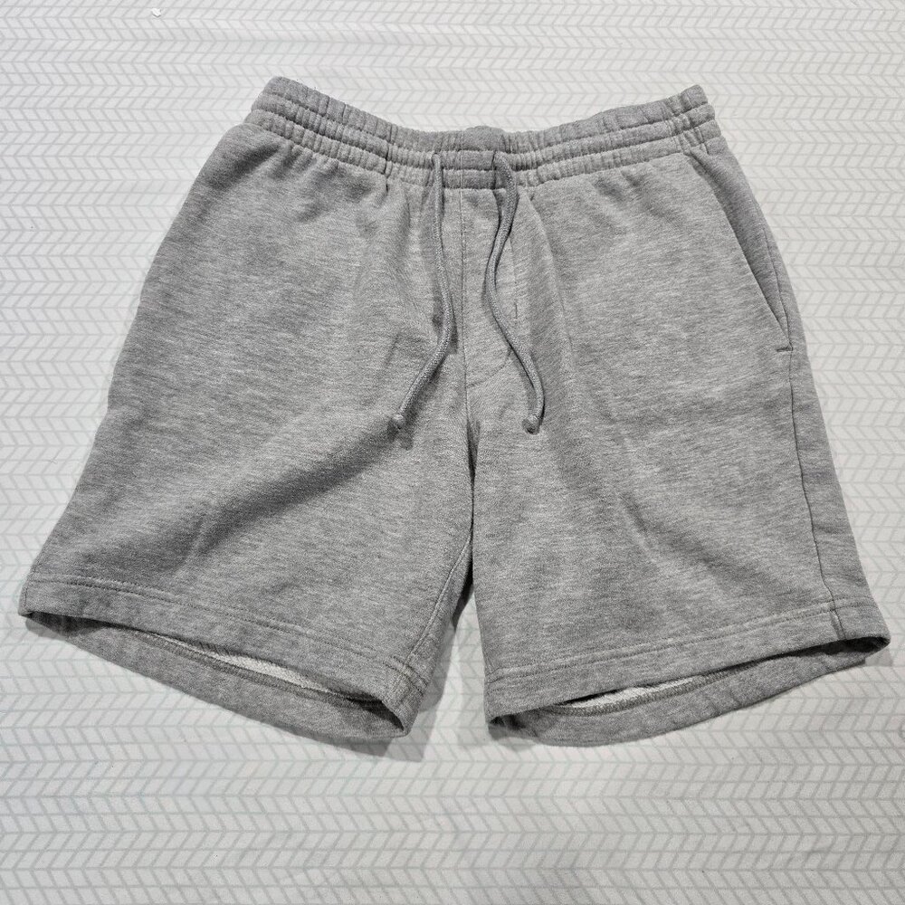 PacSun Volley Shorts Size Small Color Gray